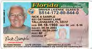 Example of a Florida Drivers License